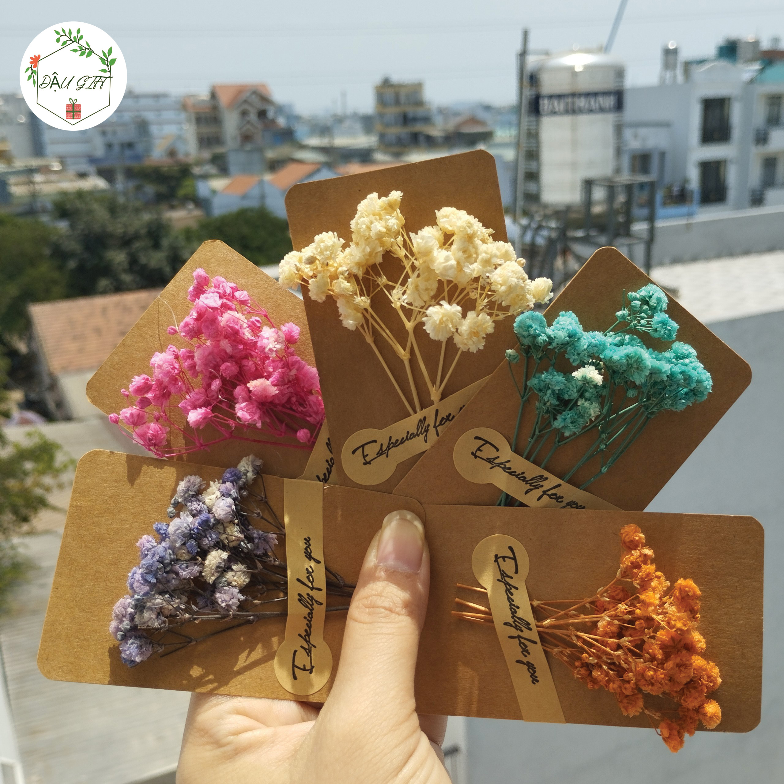 Thiệp Hoa Khô Mini Handmade: Làm Quà Tặng Trang Trí Chúc Mừng Phong Cách Vintage