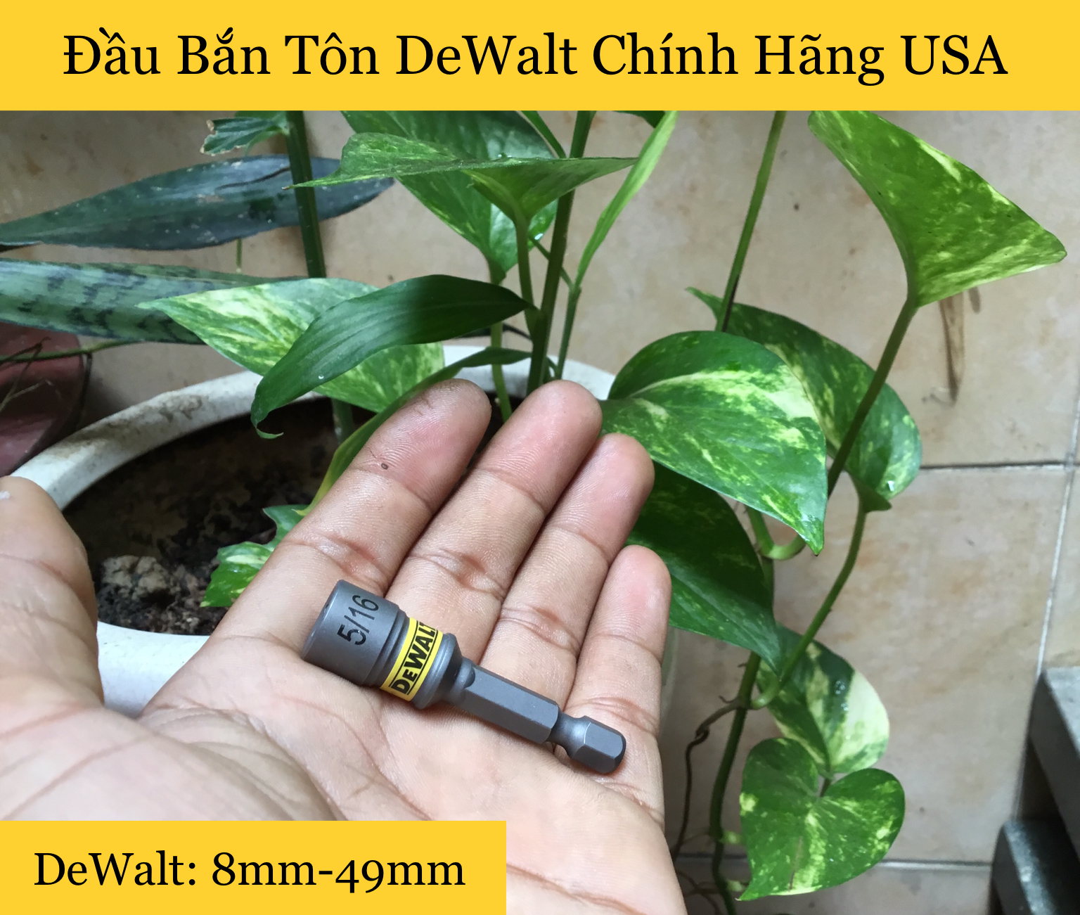 [HCM]Đầu Bắn Tôn DeWalt Chính Hãng USA 8mm-5Cm