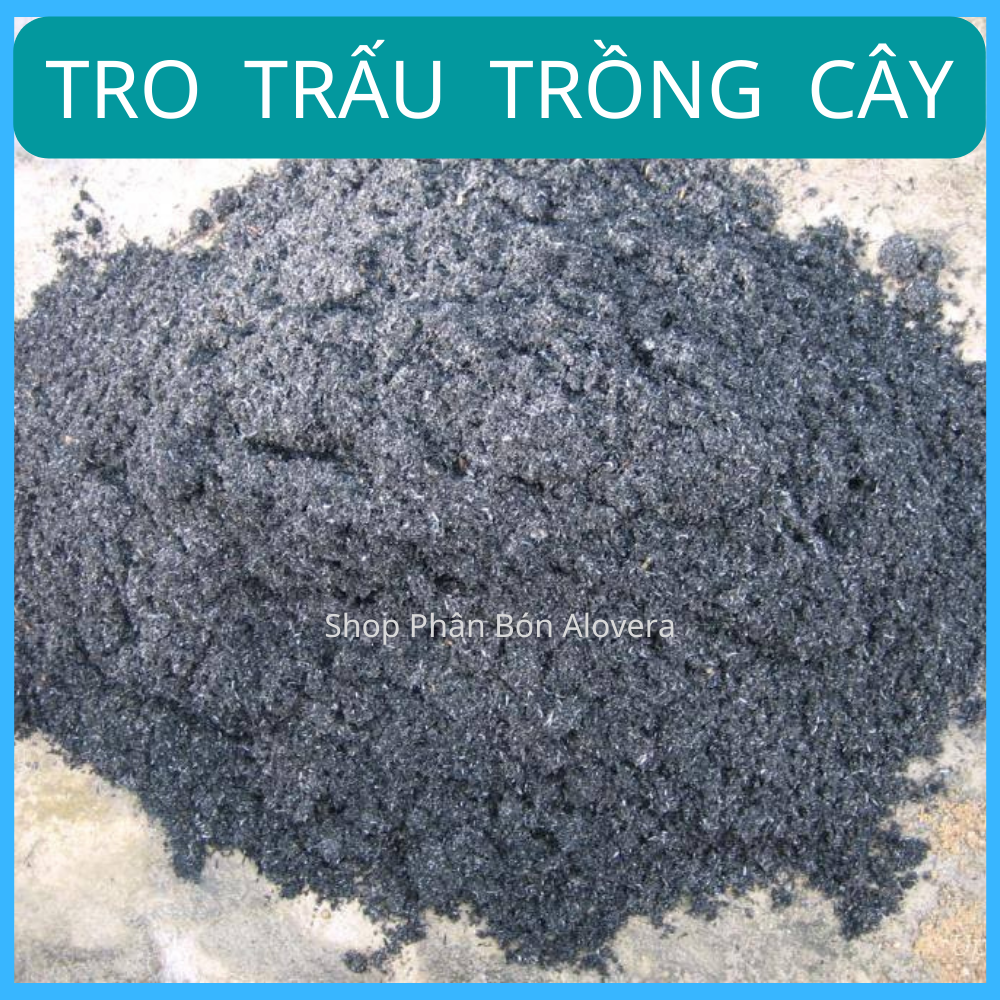 Tro Trấu Trồng Cây