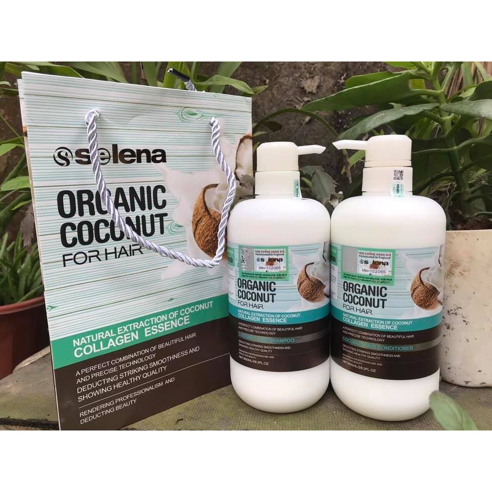 Dầu gội Dừa Organic Coconut Phục Hồi Và Giảm Tóc Gãy Rụng 800ml x - Dầu gội xả Dừa Organic