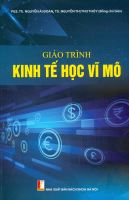 Giáo Trình Kinh Tế Học Vĩ Mô