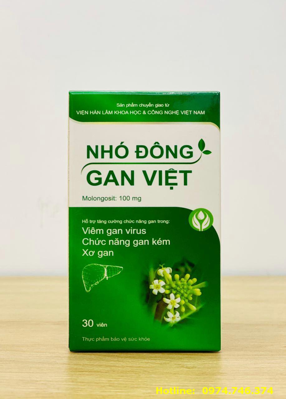 Nhó Đông Gan Việt Hỗ Trợ Tăng Cường Chức Năng Gan Viện Hlkh Và Cnvn