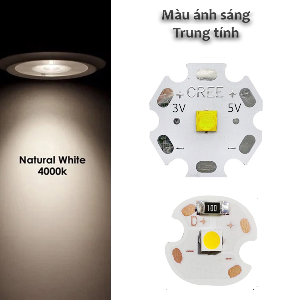 Bóng Led Cree 5V - 3W 5W siêu sáng (Trắng Vàng Trung tính) Chip Led đèn rọi Đèn trang trí Đèn đọc sách Đèn pin siêu sáng