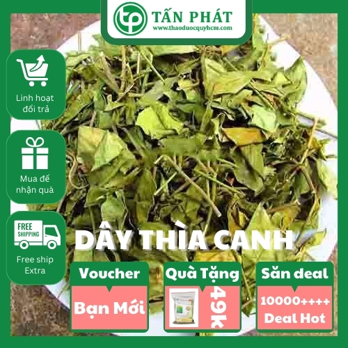 [Trà khô chất lượng cao] Dây thìa canh khô 1kg - Thảo Dược Tấn Phát - Hàng công ty chất lượng cao - 