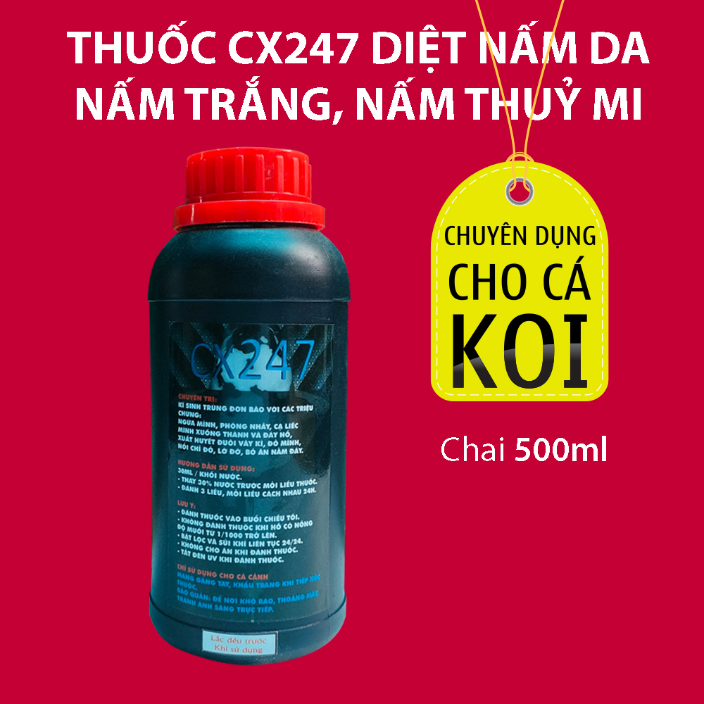 Dung dịch CX247 chai 500ml cho cá Koi bị nấm thuỷ mi ký sinh trùng đơn bào và nấm da