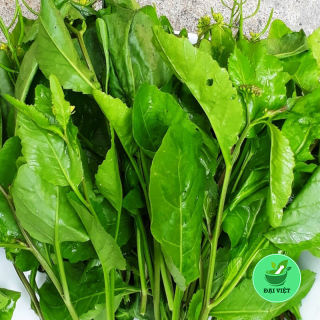 Cây cải trời (gói 1kg khô) - DV175