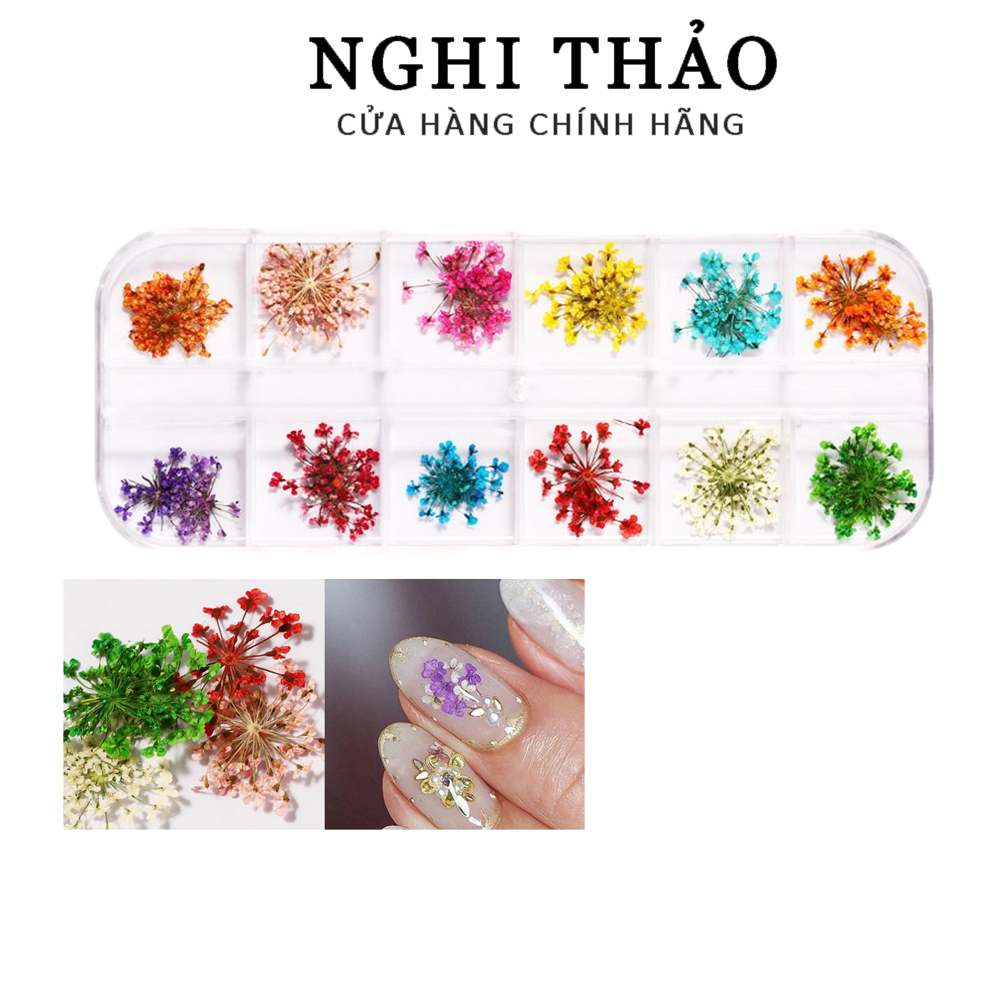 Hoa khô nail trang trí móng cánh nhỏ 12 màu