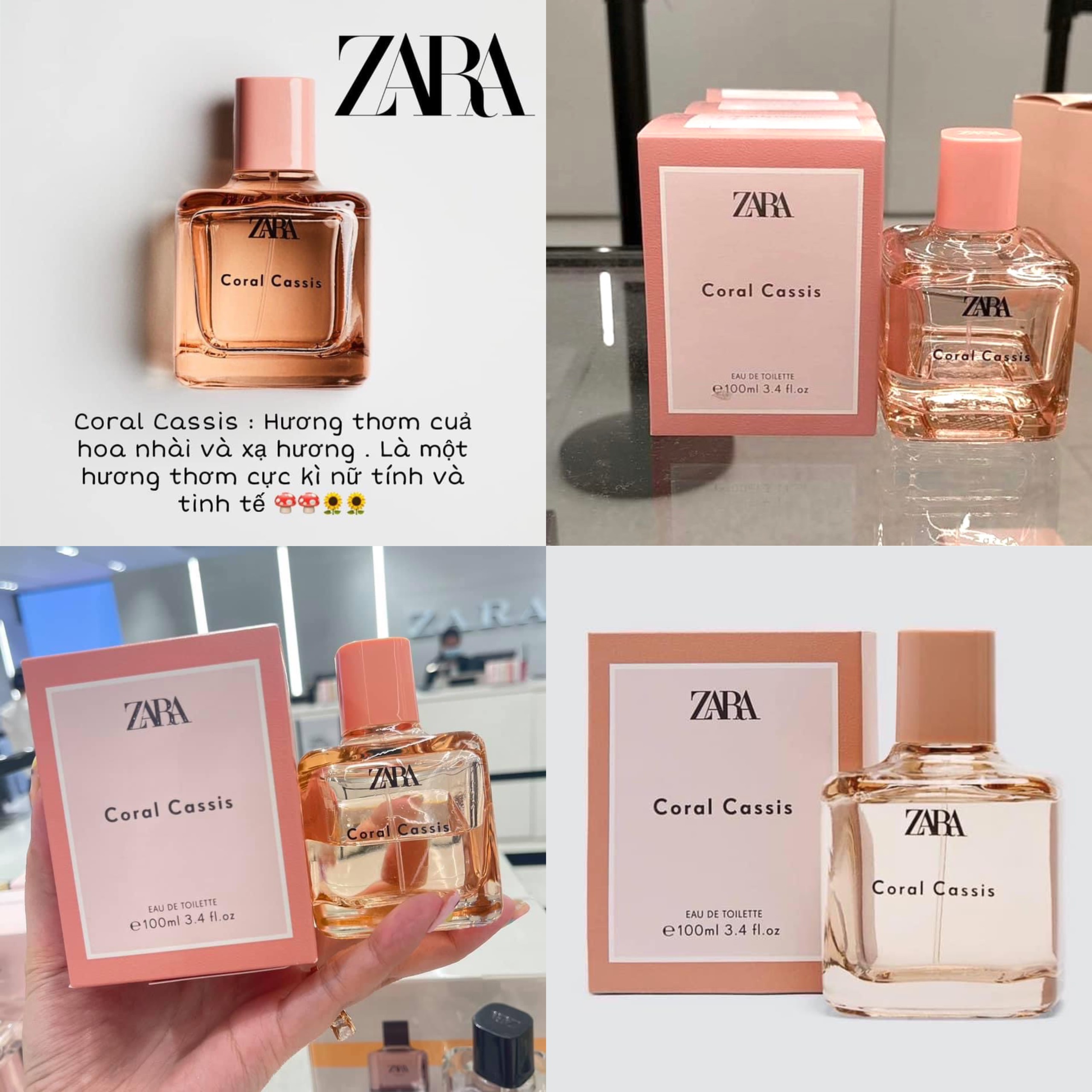 [Hcm]Chính Hãng - Nước Hoa Zara Coral Cassis Eau De Toilette 100Ml