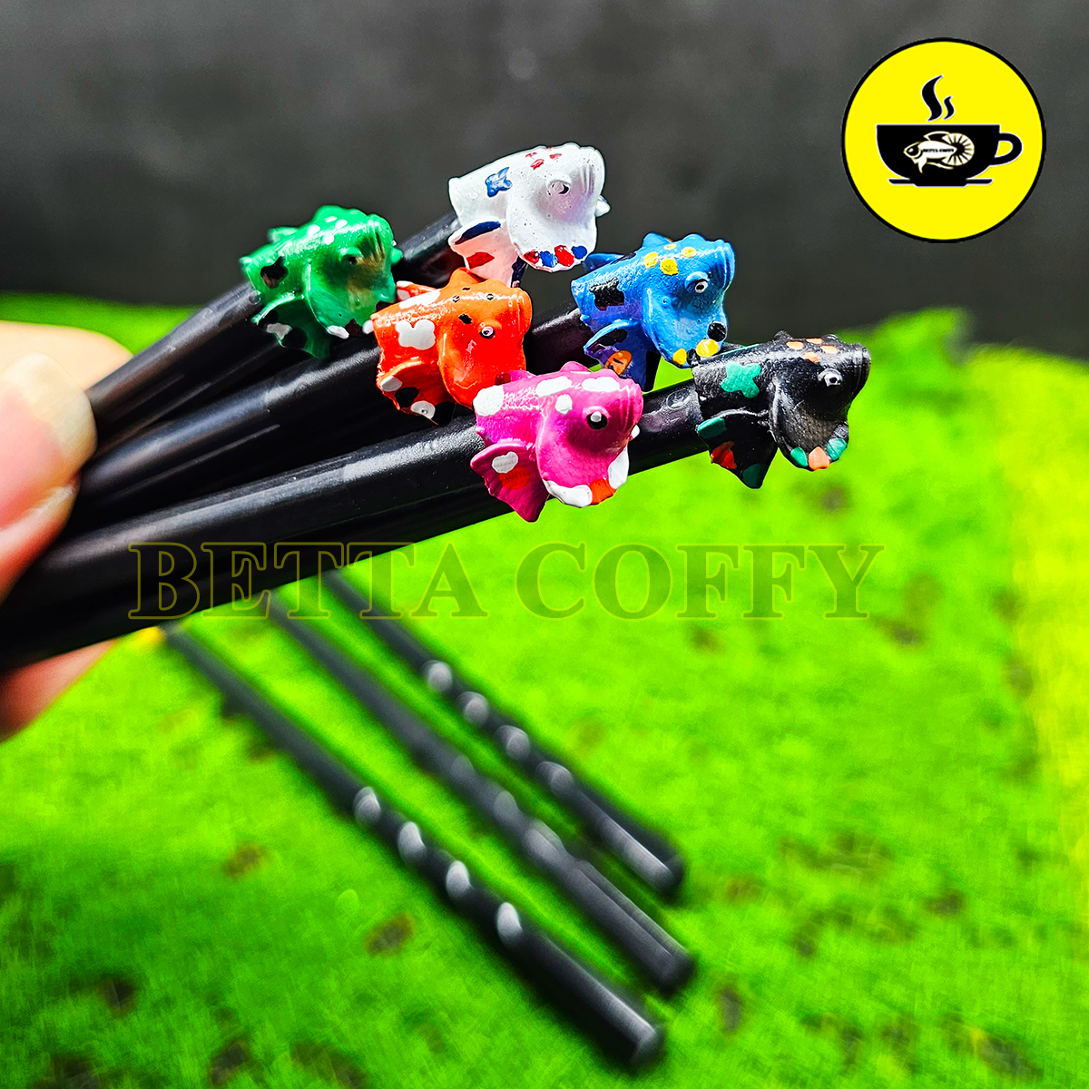 Kính kè cá - Gương kè - Cây Kè cá Betta Lóc La Hán Huấn Luyện Cá Sung Trang Trí Bể Cá