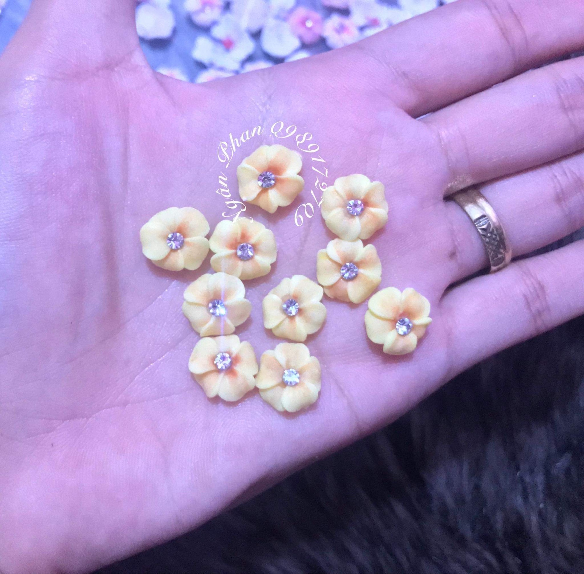 2Hoa bột làm nail
