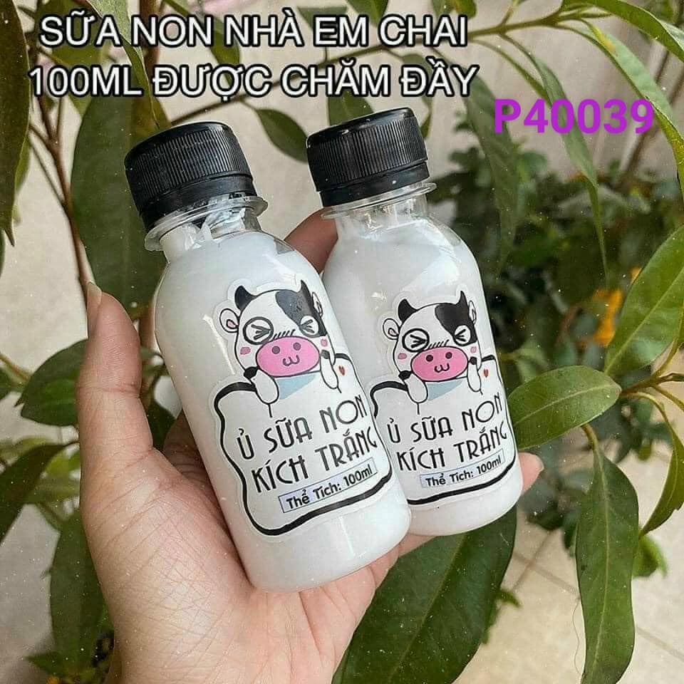 Ủ sữa non kích trắng con bò