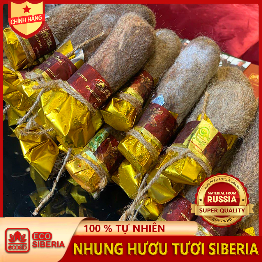 Nhung Hươu Tươi Siberia - Loại Thượng Hạng