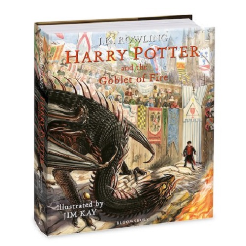 Sách - Harry Potter and the Goblet of Fire - Harry Potter Illustrated Edition US Book 4 ( Khu Vườn Sách )