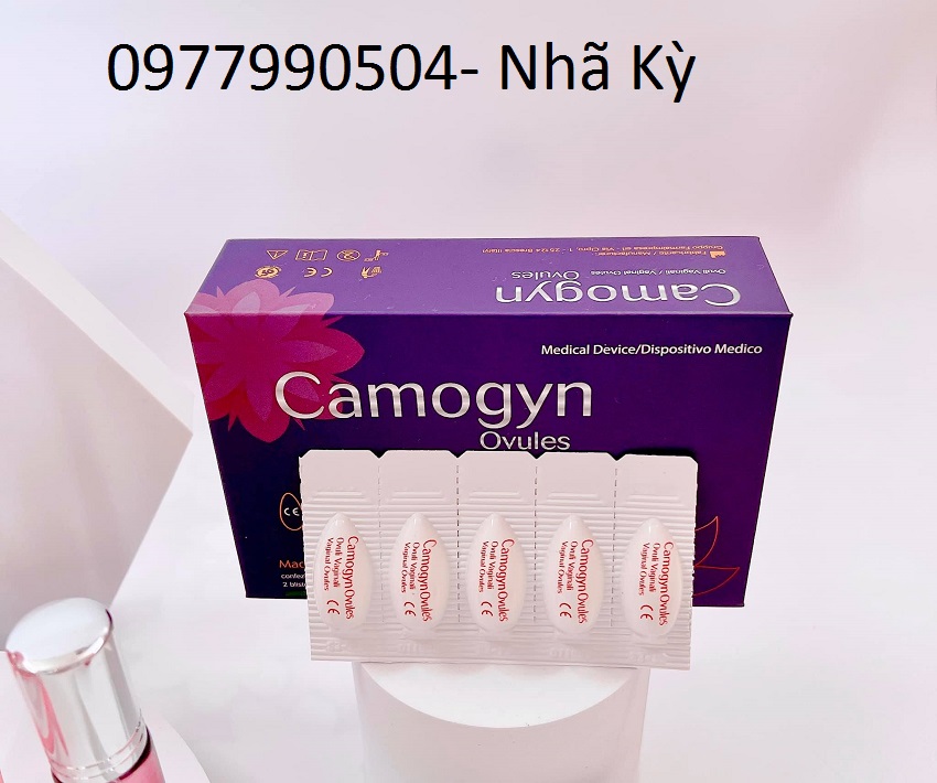 Viên Đặt Phụ Khoa Camogyn Hộp 10 Viên