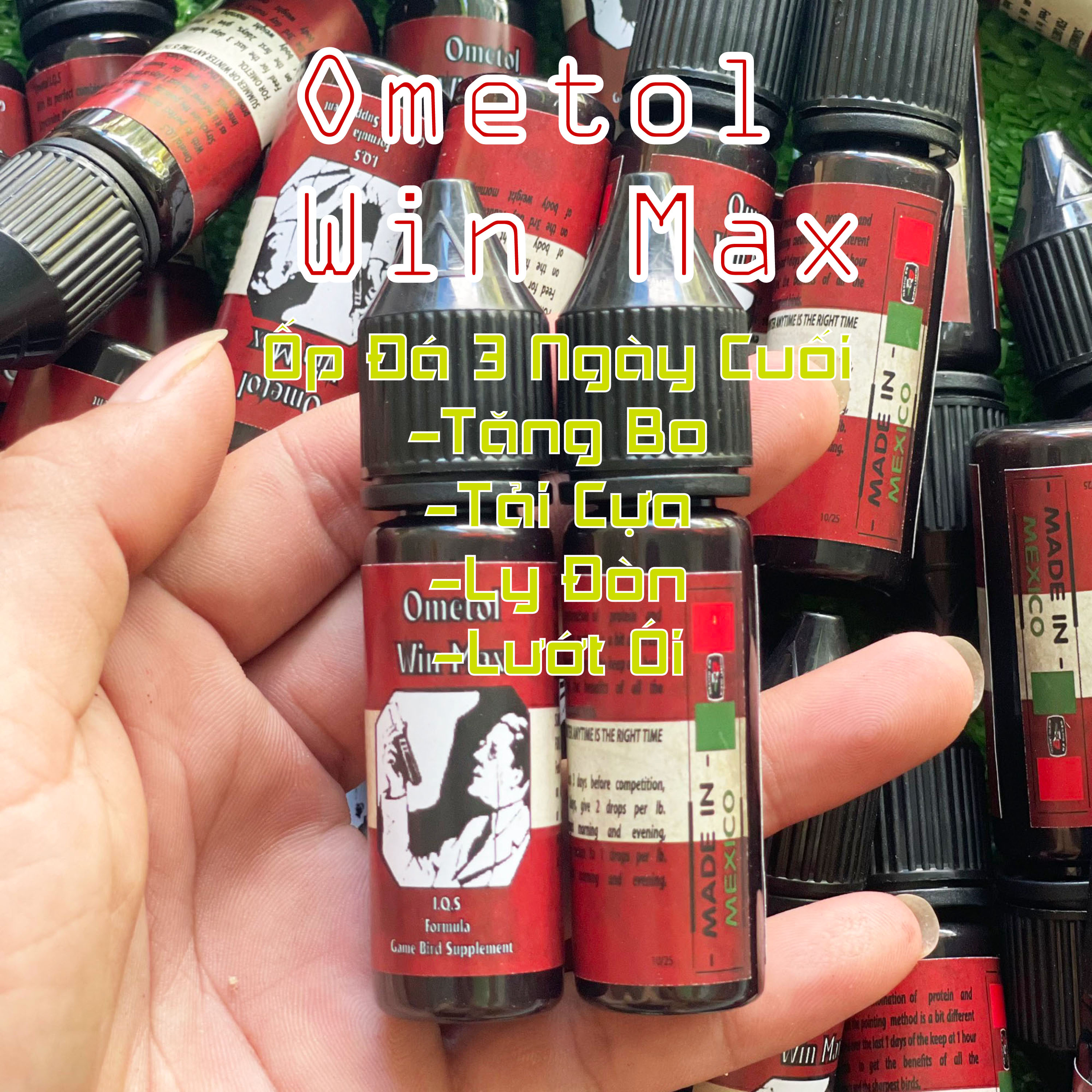 Ometol Win Max Ốp 3 Ngày Cuối Đá Cho Chiến Kê Bo Khỏe Như Trâu