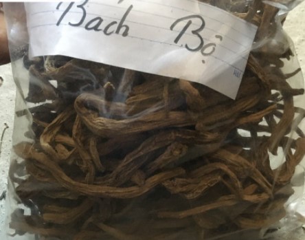 Củ Bách Bộ (1Kg) - Dtx104