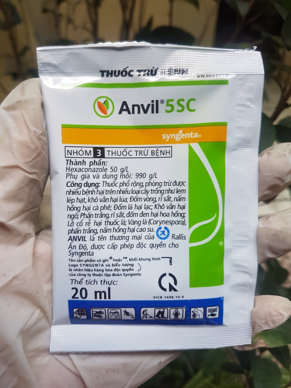Diệt nấm bệnh cho phong lan cây trồng Anvil 5SC