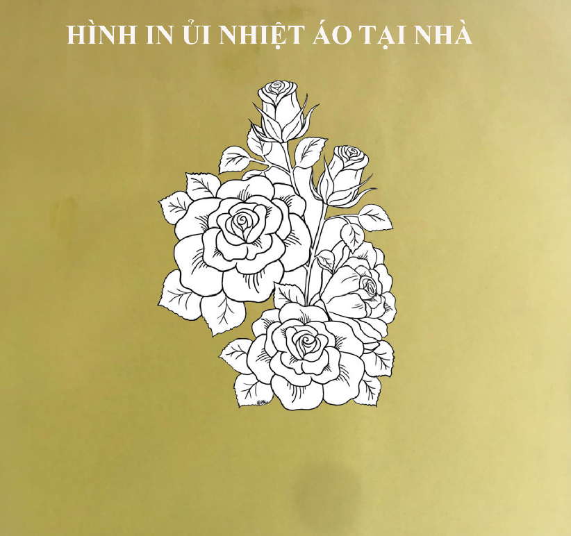 Hình ủi ép nhiệt-hình in áo hoa hồng vẽ bằng bút chì rất đẹp-ủi trực tiếp bằng bàn ủibàn là tại nhà rất đẹptiện lợi-giá khuyến mãi-Majestic.clo.luck