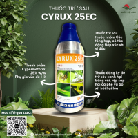 Thuốc trừ sâu CYRUX 25EC (chai 500ml) UPL - Cypermethrin 25%w/w Nhóm cúc tổng hợp trừ sâu xanh rệp sáp bọ xít