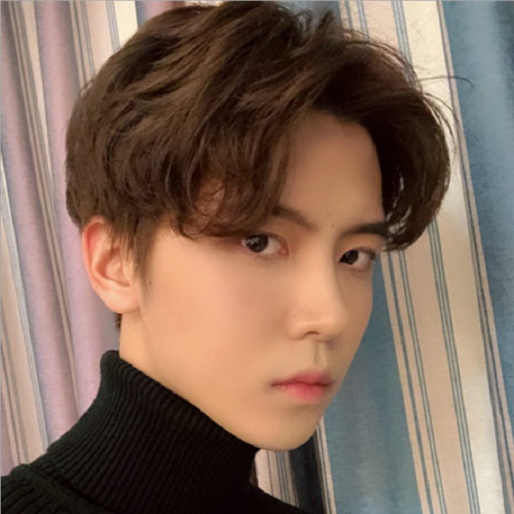 [HCM]Tóc giả nam Hàn Quốc + tặng kèm lưới T446