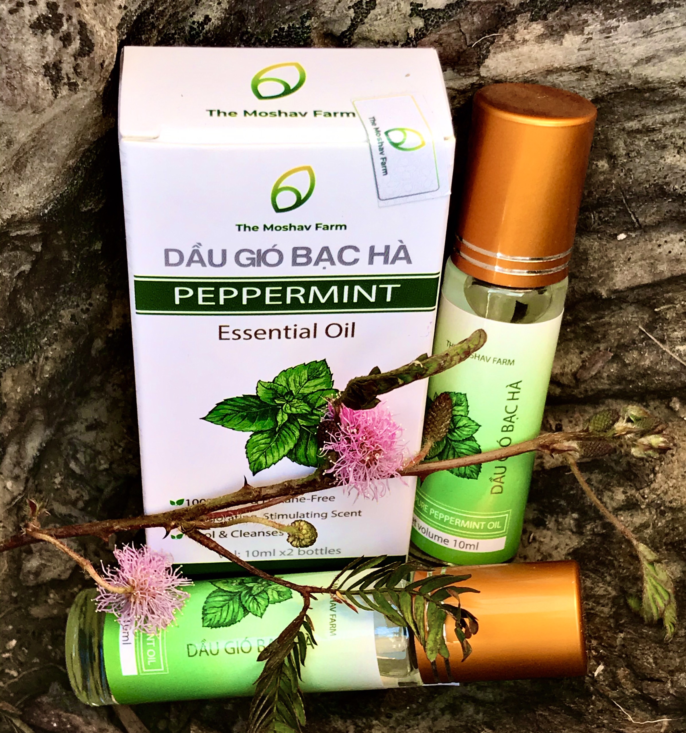 Dầu Gió Bạc Hà Moshav Farm - Chai 50Ml