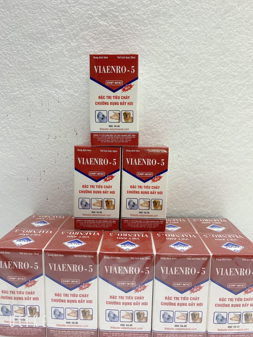 Chướng Bụng Đầy Hơi VIAENRO - 5 (Chai 20ml). Viêm Ruột Tiêu Chảy Phân Trắng Phân Vàng Phân Màu Xi Mă