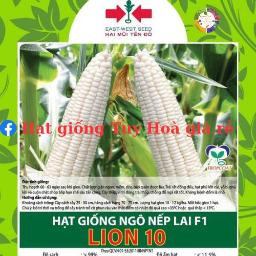 Hạt giống bắp nếp Lion 10 hai mũi tên đỏ 500 gram