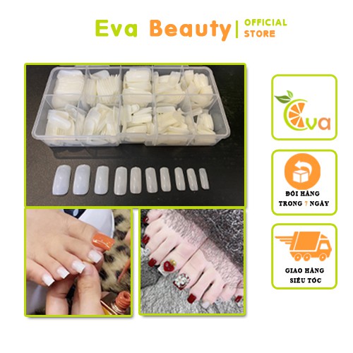 Móng úp chân dài