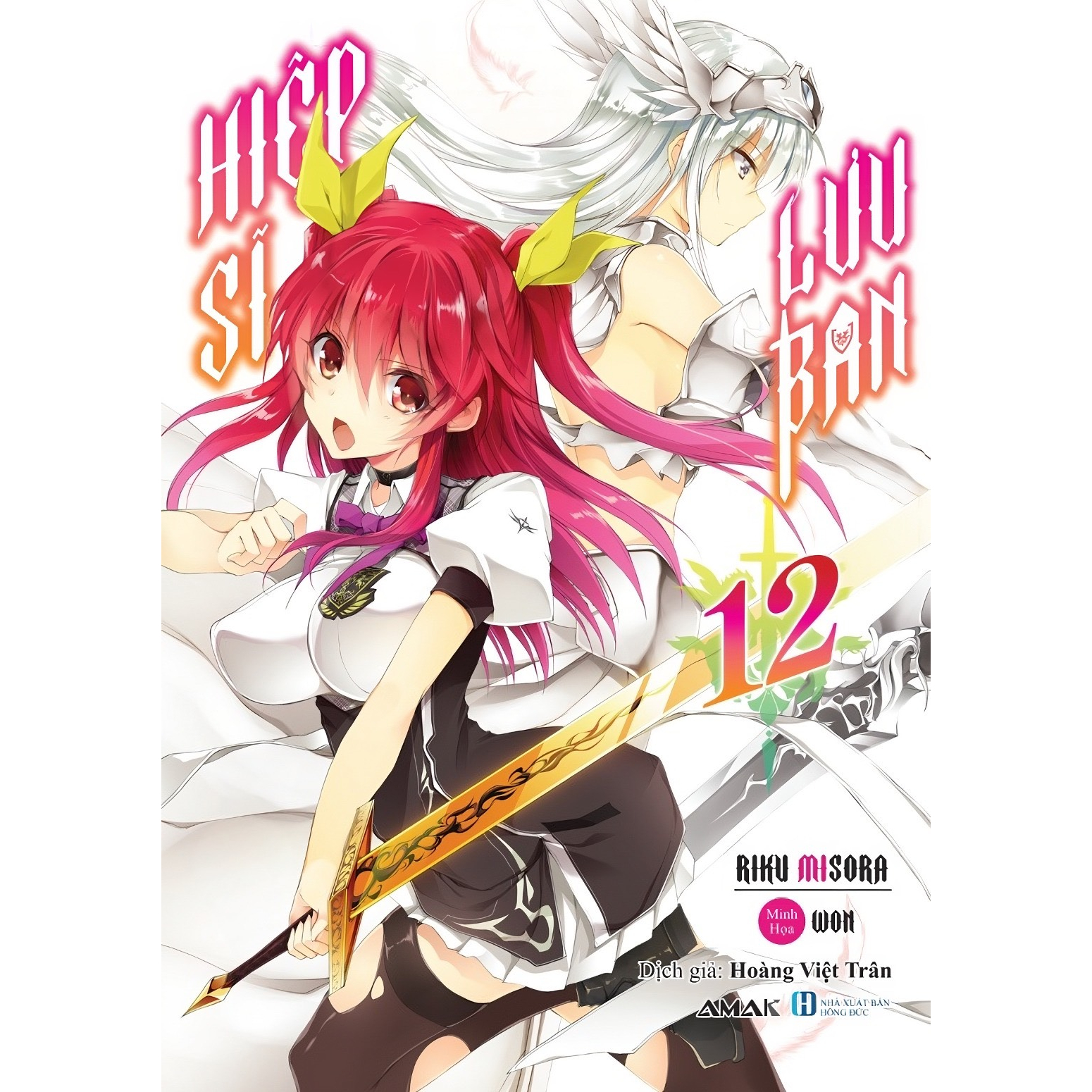 Sách Hiệp sĩ lưu ban - Tập 12 - Light Novel - AMAK