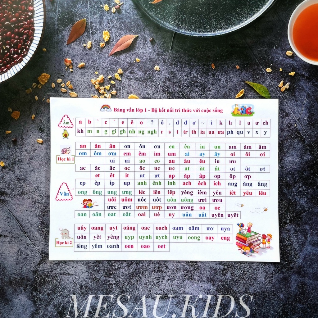 Bảng Chữ Cái Bảng Âm Vần 2 Trong 1 Lớp Tiền Tiểu Học Lớp 1 Đồ Dùng Dạy Học Kết Nối Tri Thức MESAU.KI