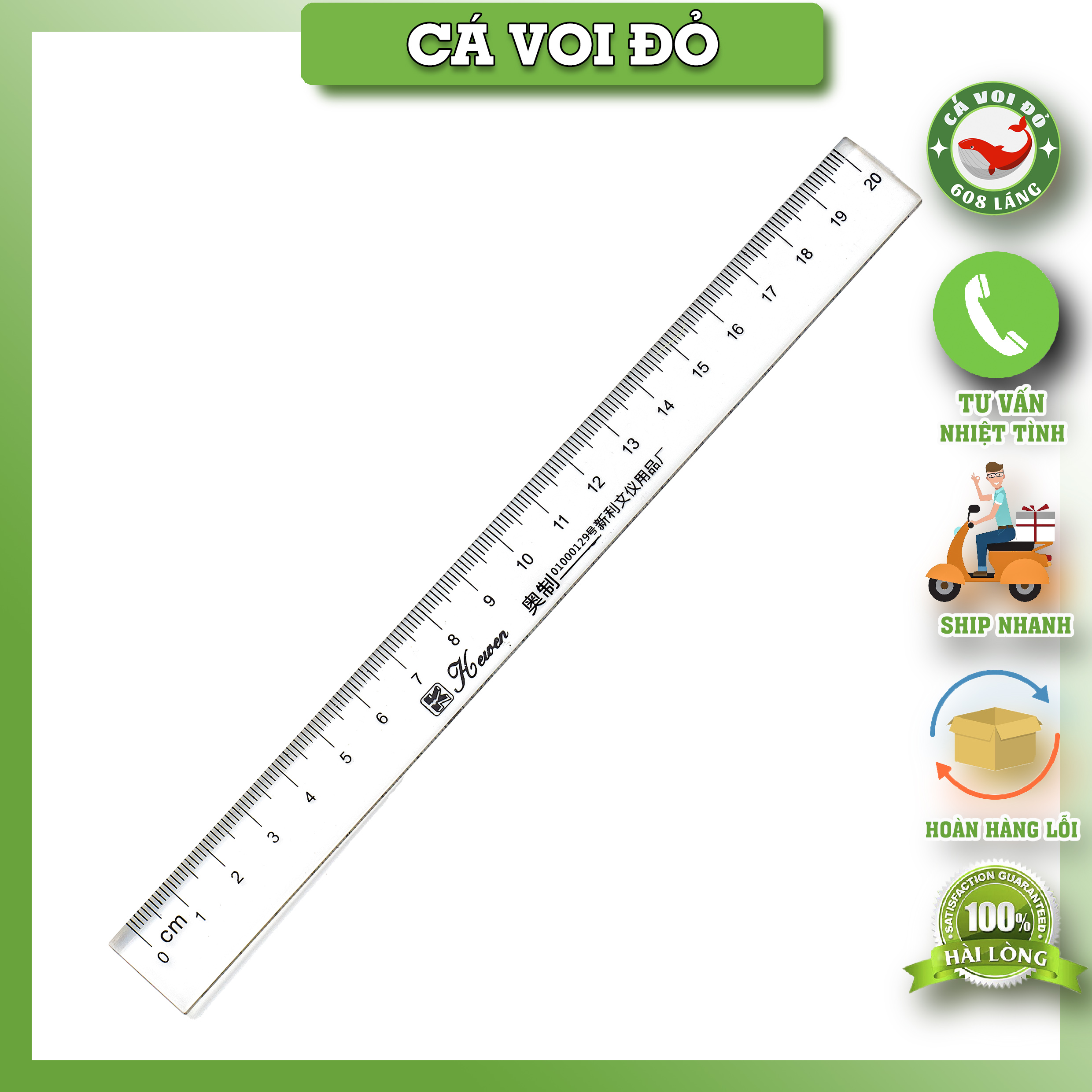 Thước kẻ nhựa trong màu trắng Đại Nguyên - Kewen 20cm/30cm