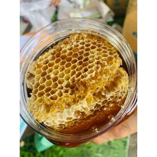 [1KG] Mật ong nguyên sáp nguyên bánh tổ Mật ong sáp bánh tổ nguyên chất Đăk Lăk của Green Farm