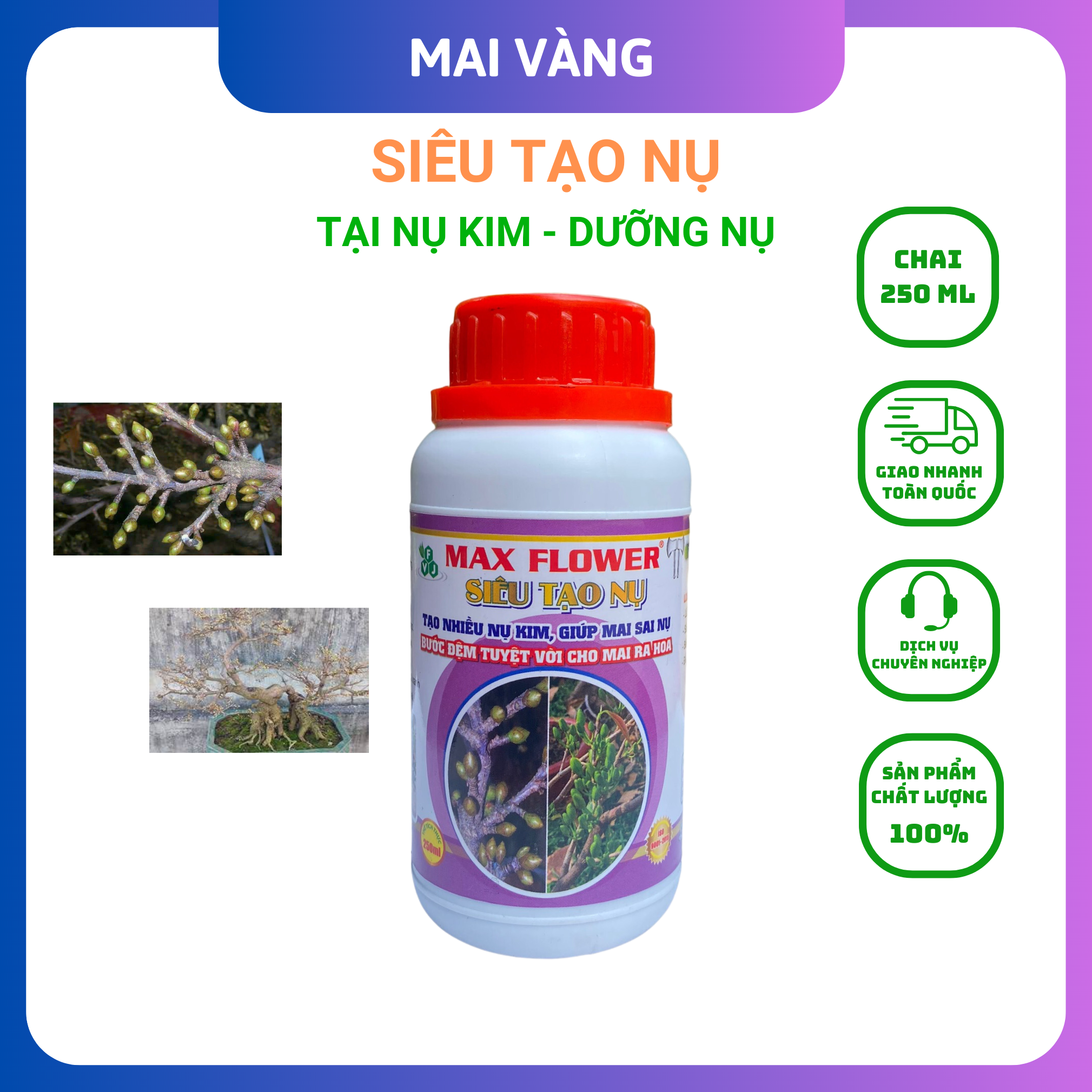 Phân bón mai vàng siêu tạo nụ chai 250ml