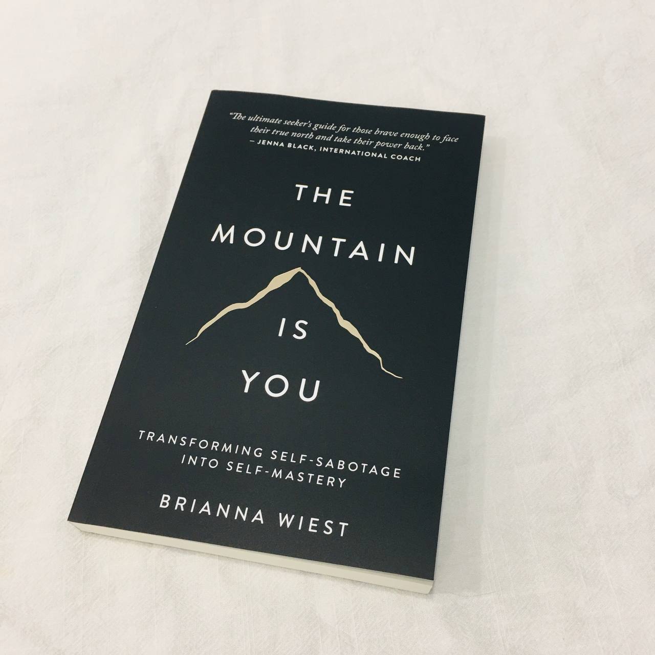 Book The Mountain Is You : Transforming Self-Sabotage Into Self-Mastery by Brianna Wiest