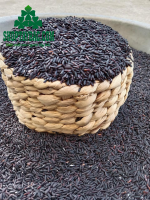 [GIẢM CÂN] BAO 5KG GẠO LỨC ĐEN ĐIỆN BIÊN DẺO CƠM DỄ ĂN HỮU CƠ LOẠI NGON