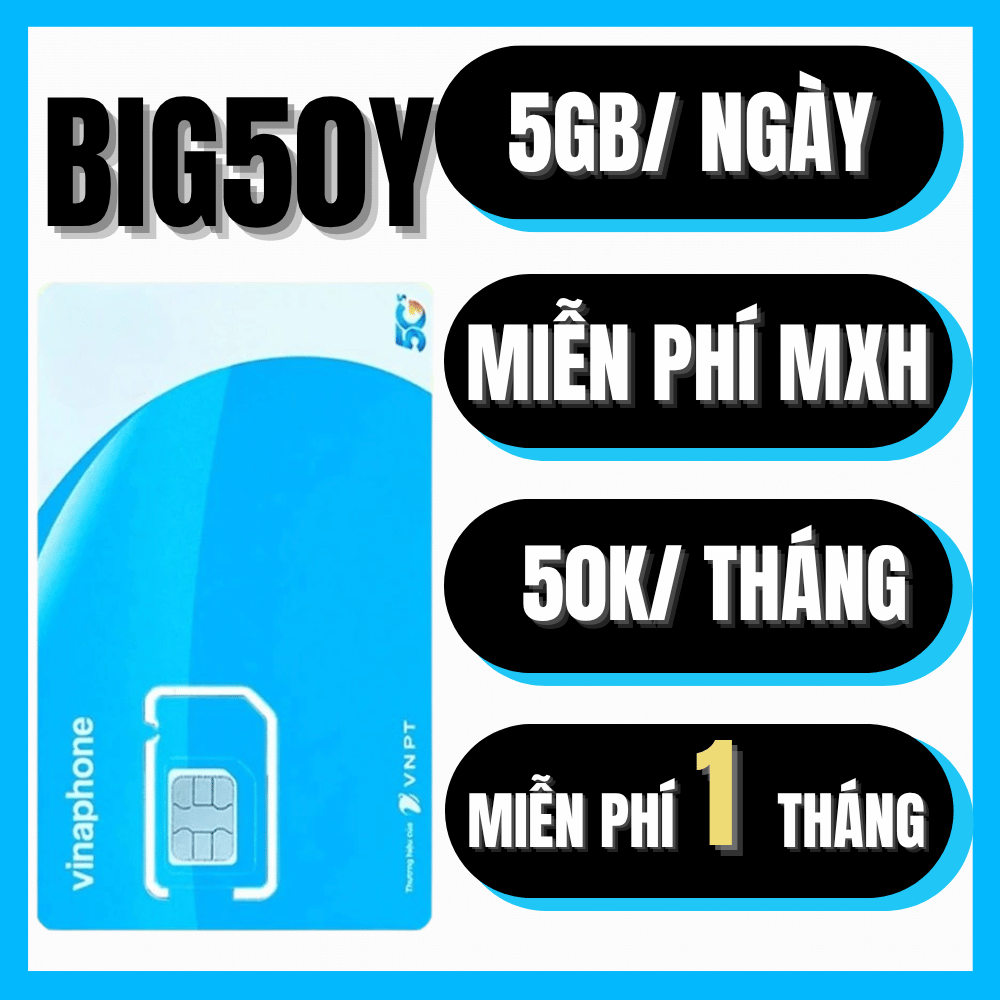 (BÁN CHẠY) Sim Vinaphone Tặng Tháng Đầu Không Nạp Data Full TốC Độ Cao 6GB/Ngày Miễn Phí YTB Tictoc 