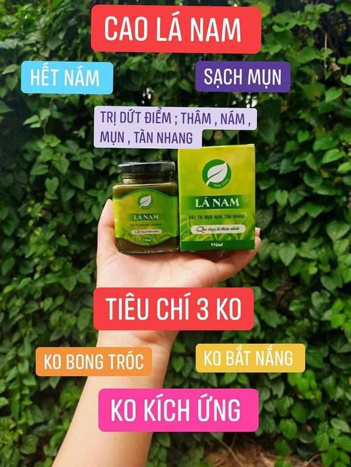 Cao lá Nam