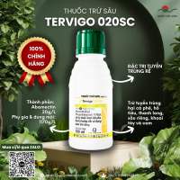 Thuốc trừ sâu TERVIGO 020SC (chai 100ml) - Abamectin 20g/l Trị Tuyến Trùng Rễ Syngenta