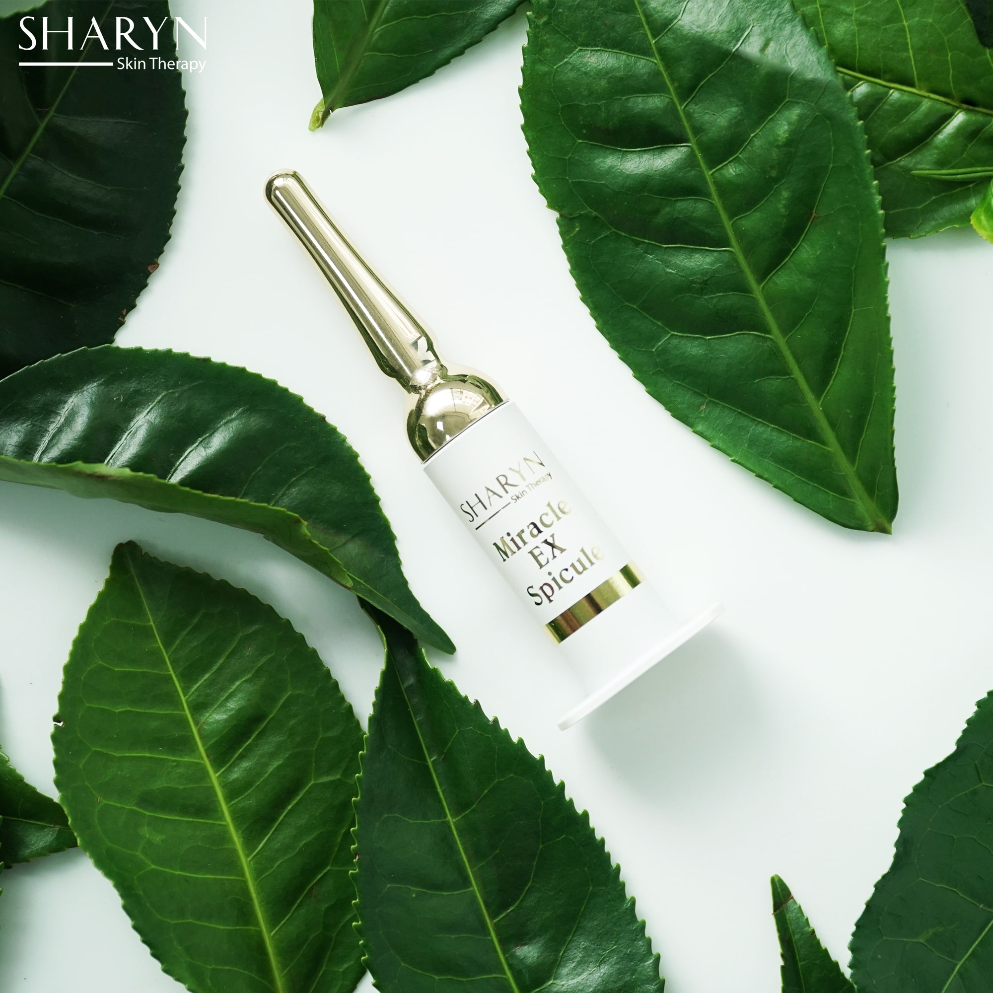 Sharyn Miracle Ex Spicule