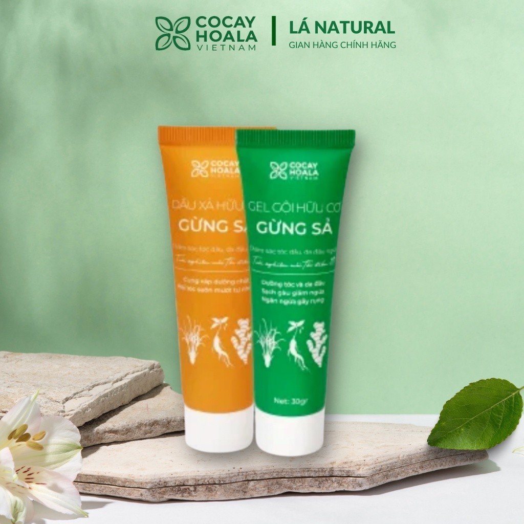 COMBO GỘI XẢ HỮU CƠ GỪNG SẢ CỎ CÂY HOA LÁ 50ml