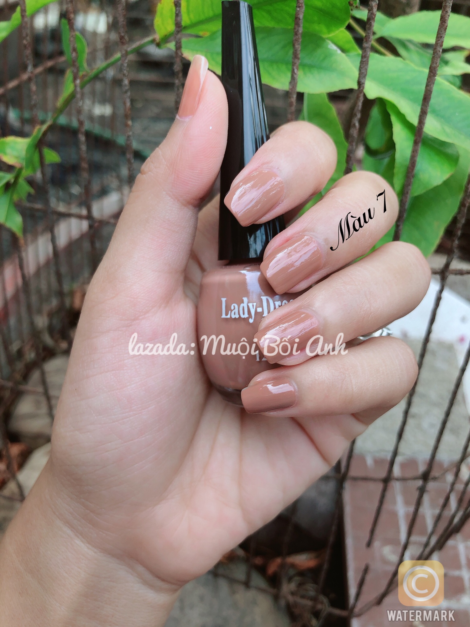 [HCM]Sơn móng tay Ladydream 12ml