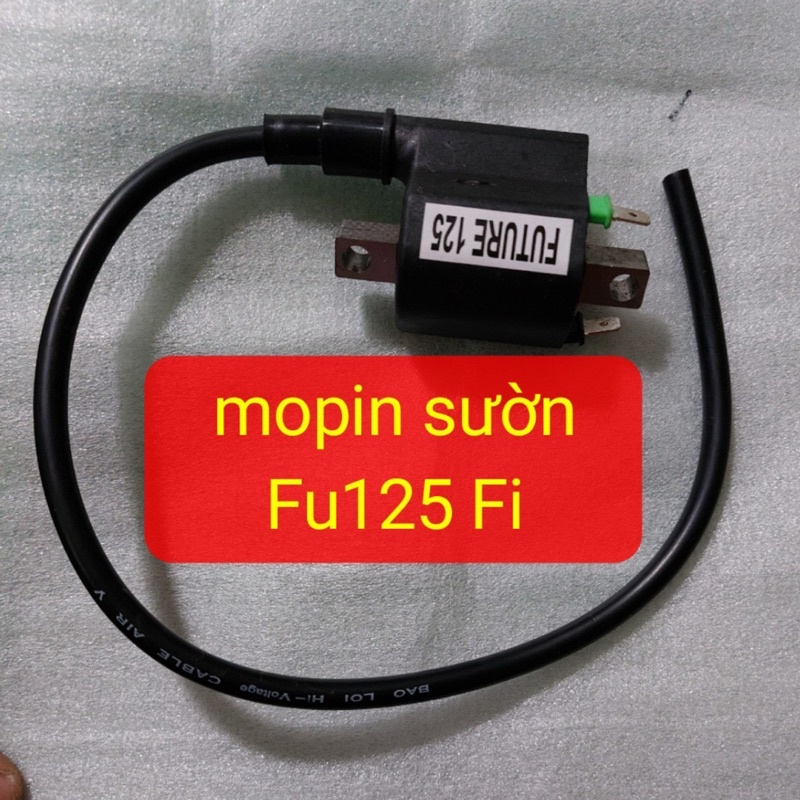 Mobin sườn Wave  Dream  AB FI  VISION  FU125 FI