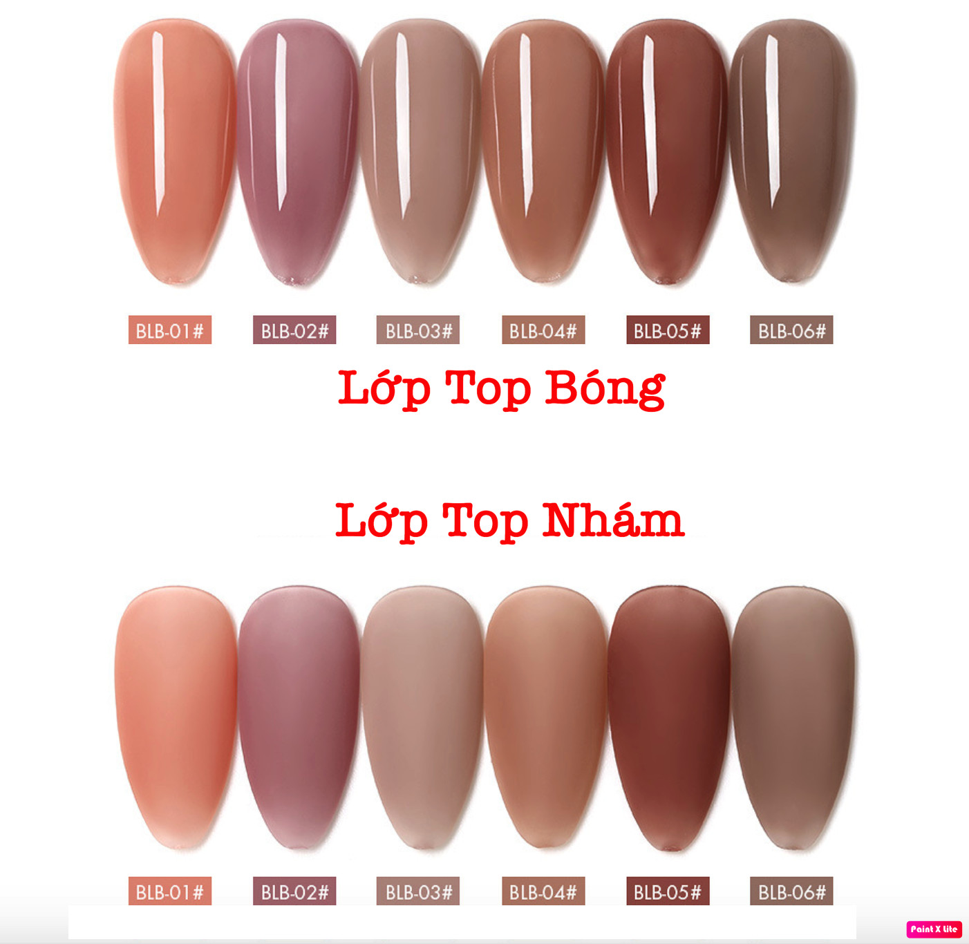 SƠN GEL AS Thạch Chai Đen Mã BLB chai 15ml