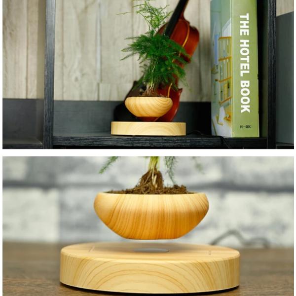 Chậu bay bonsai