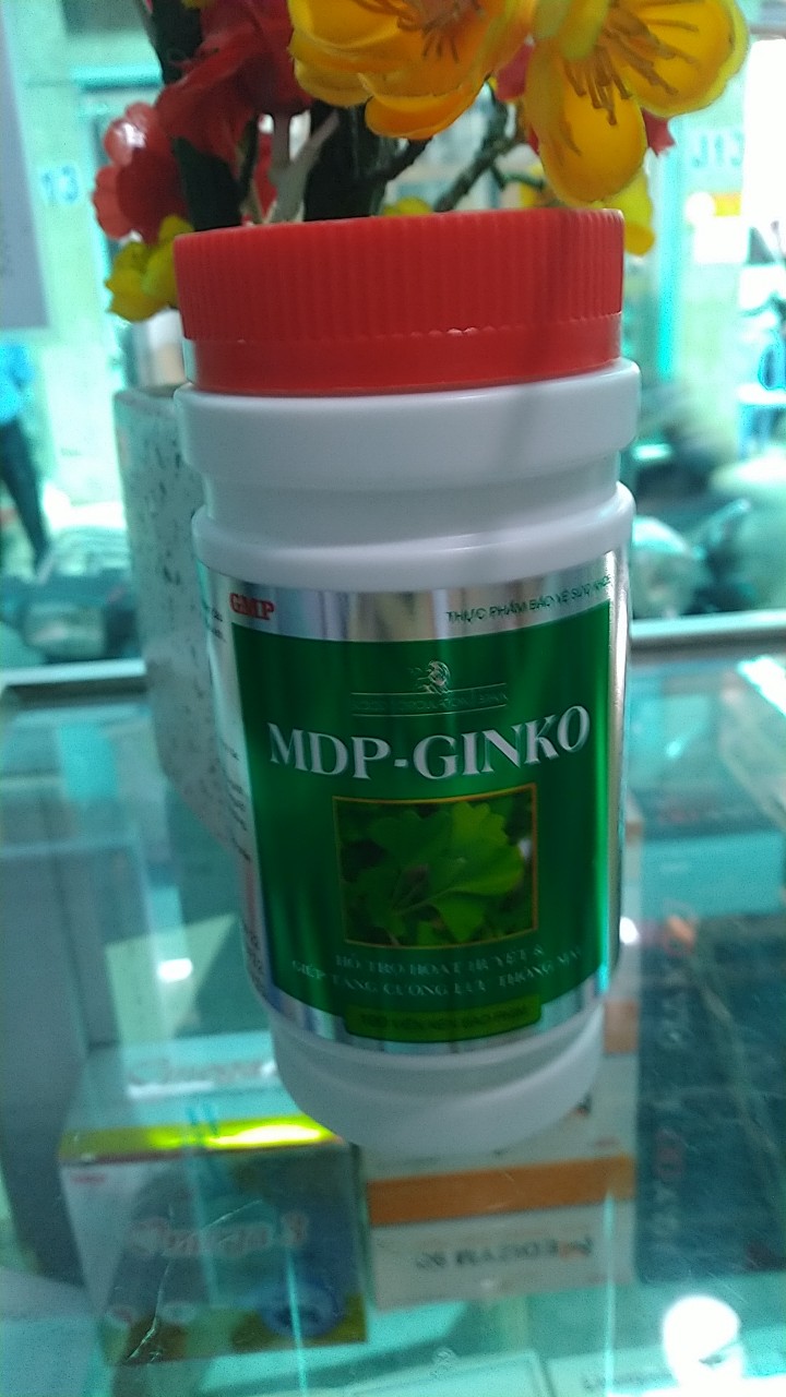 Bổ não GINKGO PLUS – MAGNE B6