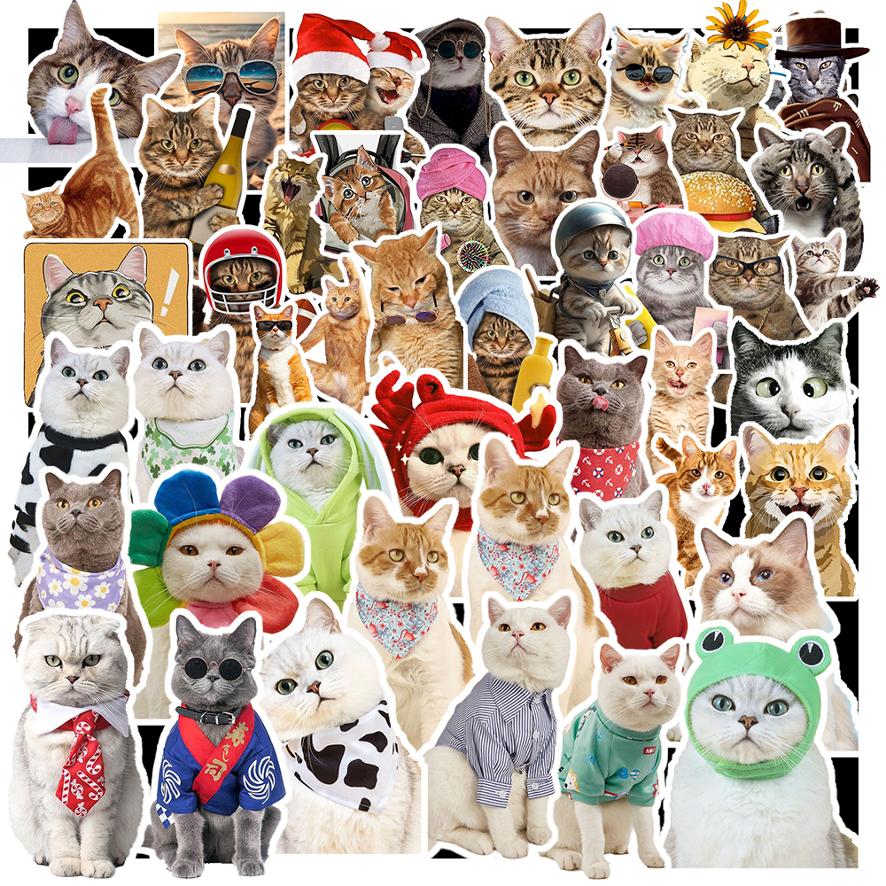 Set 100/50 Sticker Mèo Vui Nhộn Meme - Chống Thấm Nước Graffiti - Dán Cho Mũ Bảo Hiểm Xe Đạp