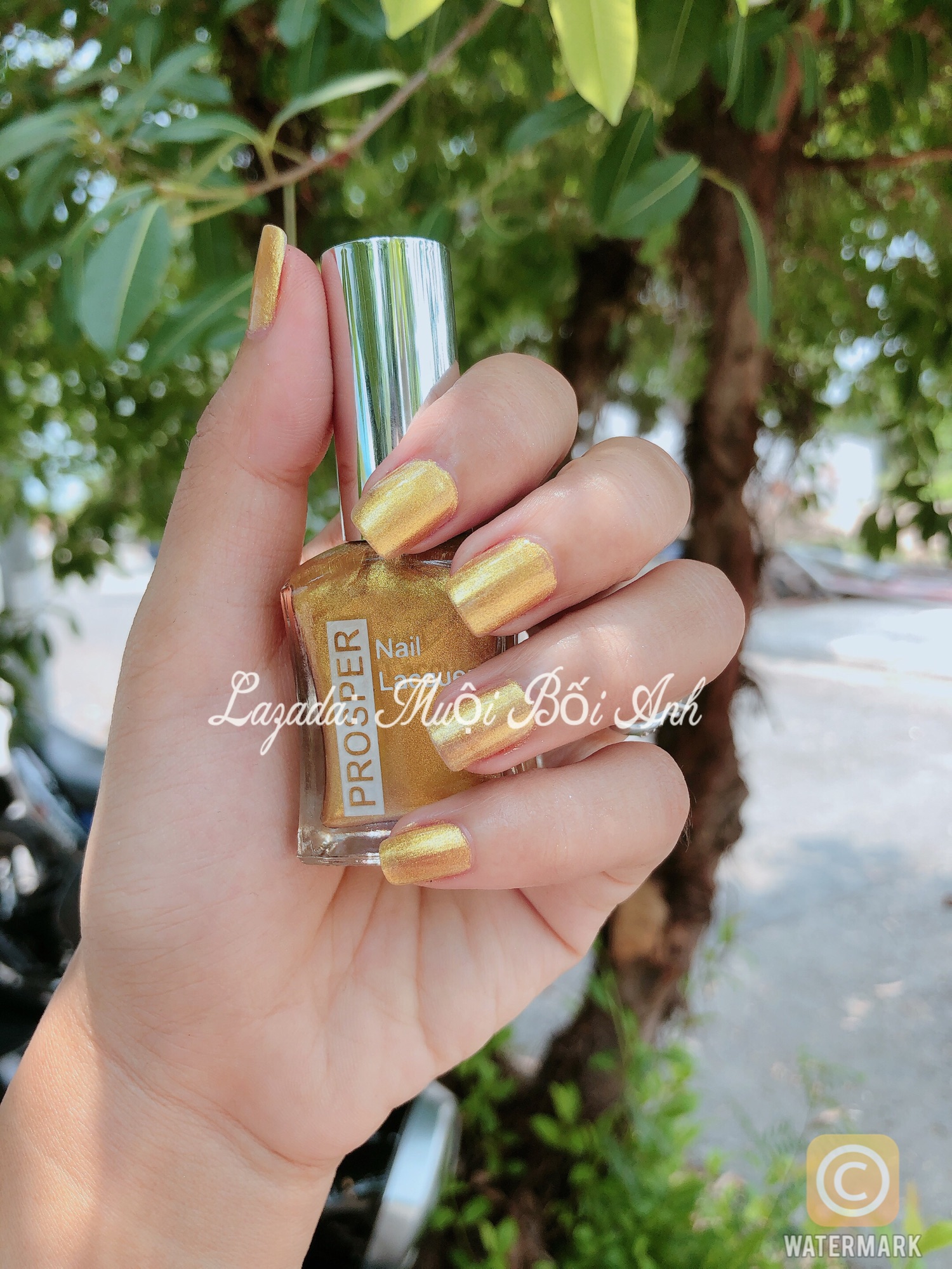 [HCM]Sơn móng tay Prosper 16ml - 210