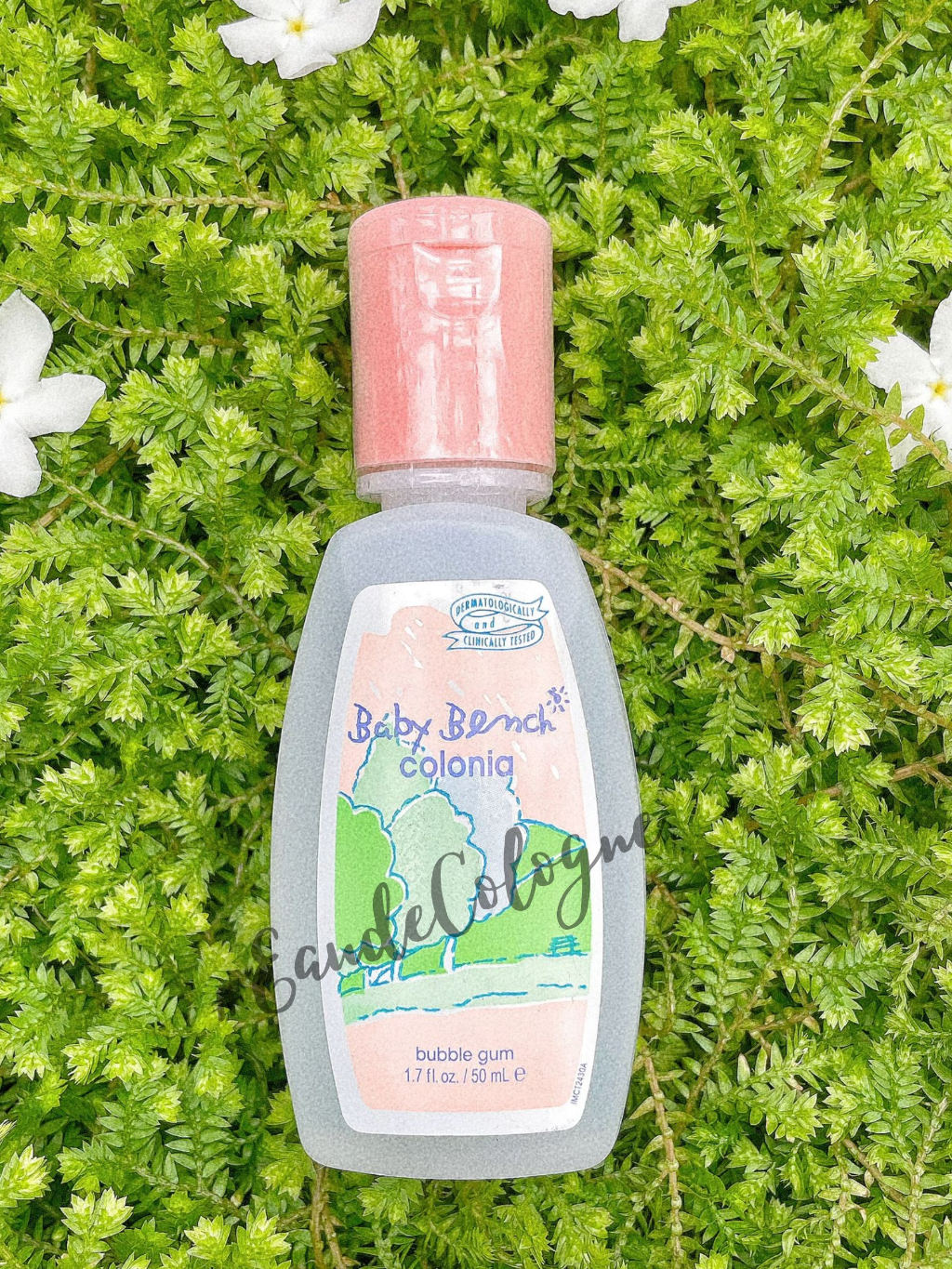 Nước hoa em bé BABY BENCH COLONIA Chính Hãng - Bubble Gum