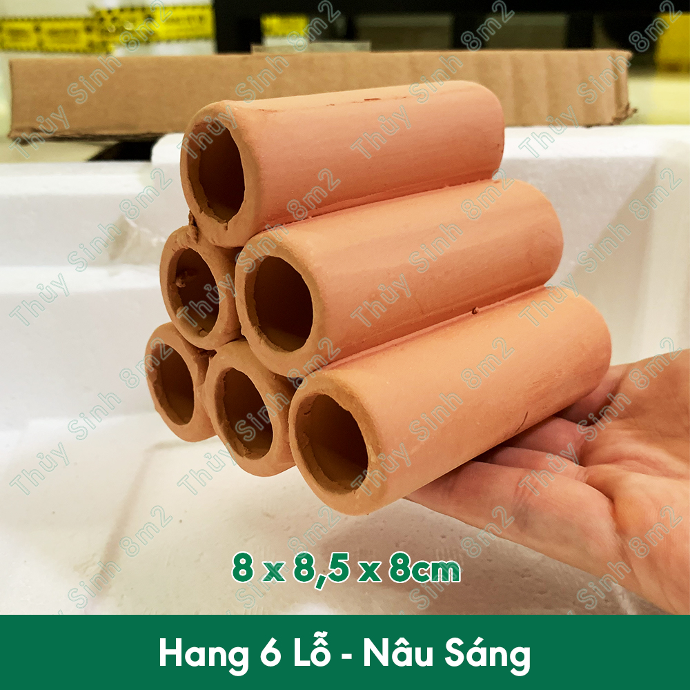 Đồ Chơi Tép Cảnh Hang Cá Pleco Hang Gốm Trang Trí | 8m2