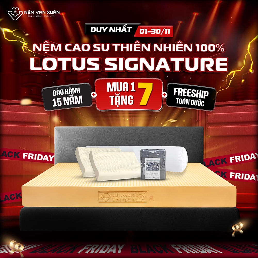 [MUA 1 TẶNG 7] Nệm Cao Su Thiên Nhiên Vạn Xuân Lotus Signature Nguyên Khối 100% Cao Su Thiên Nhiên N